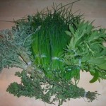 sveže rezana zelišča