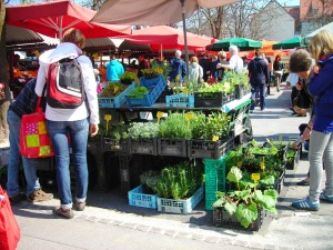 Naše prodajno mesto