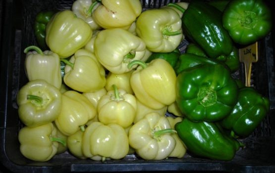 zelena-rumena-paprika