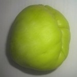 bučka čajota gladka sadika bučka čajota gladka